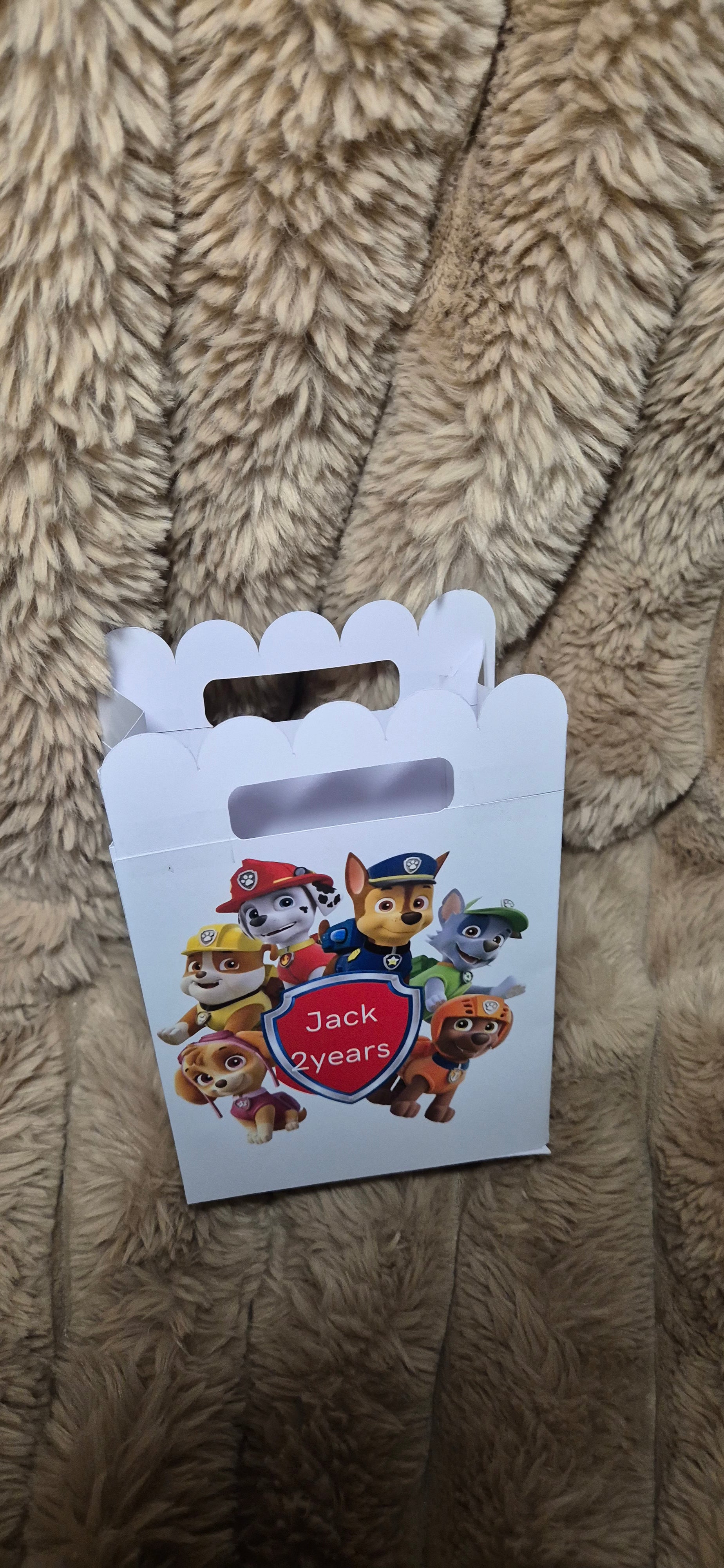 Box Paw Patrol  Box