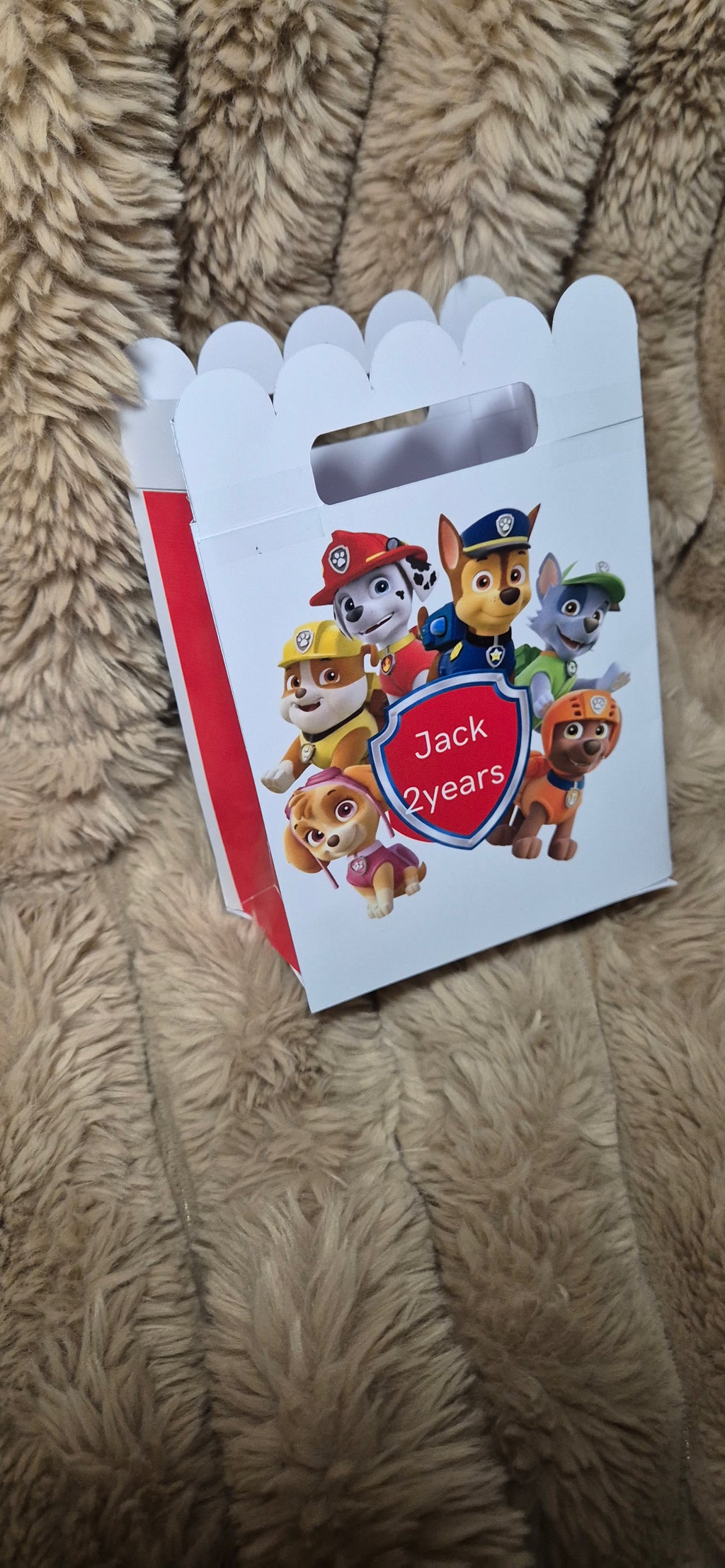 Box Paw Patrol  Box